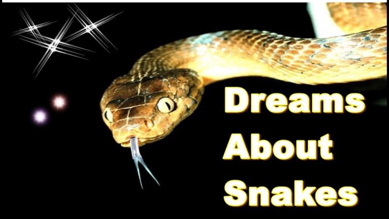 snake in dream meaning download free